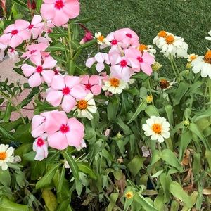 CONSIDERING OFFERS / SALE ITEMS! Read description